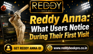Read more about the article Reddy Anna: What Users Notice During Their First Visit