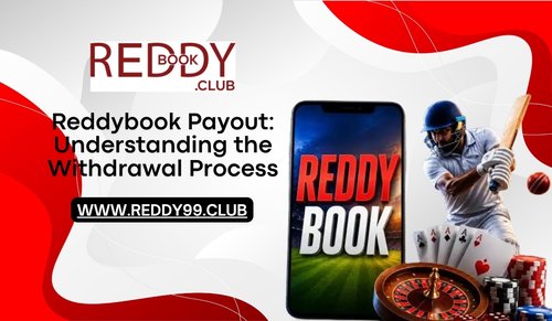 Read more about the article Reddybook Payout: Understanding the Withdrawal Process