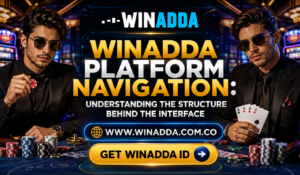 Read more about the article Winadda Platform Navigation: Understanding the Structure Behind the Interface